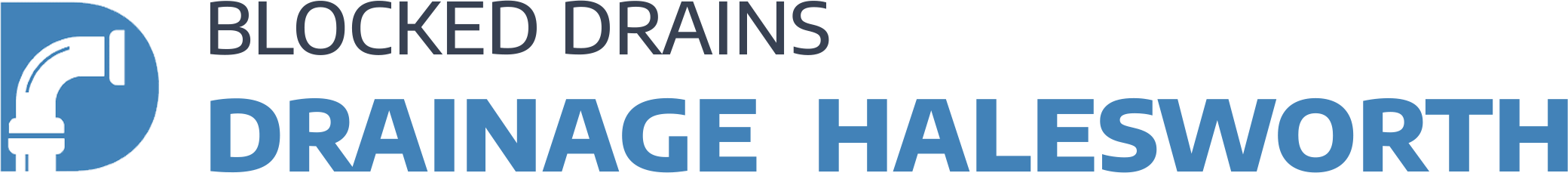 website logo